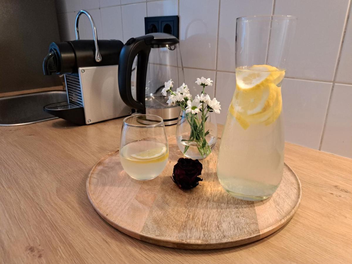 Gemuetliche Helle Ferienwohnung Dresden Dış mekan fotoğraf