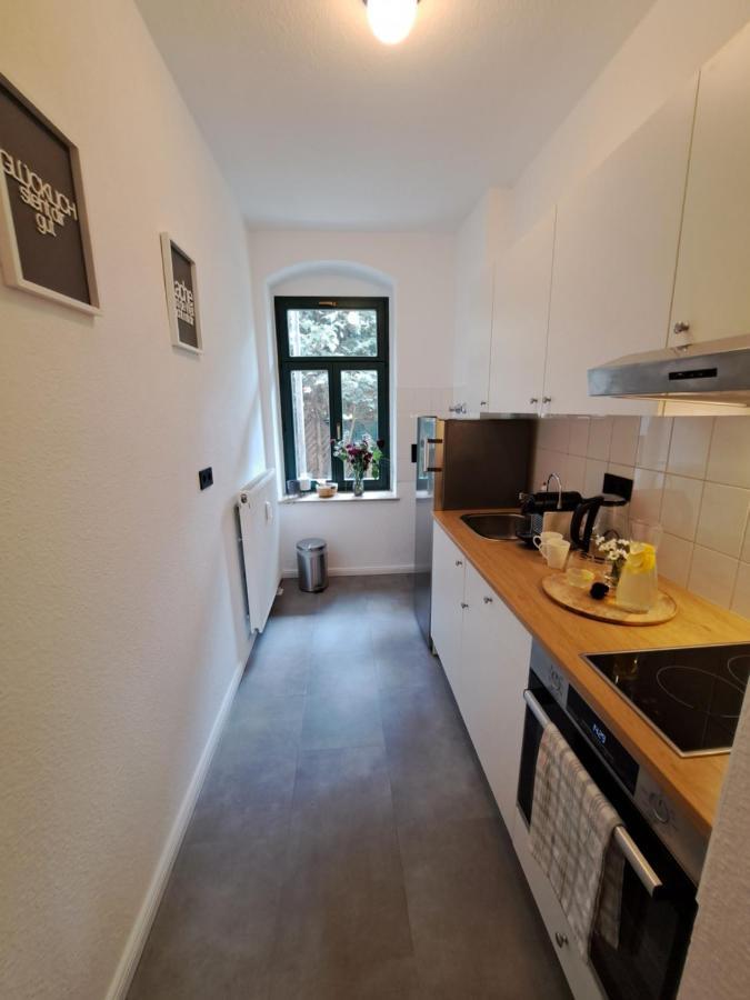 Gemuetliche Helle Ferienwohnung Dresden Dış mekan fotoğraf
